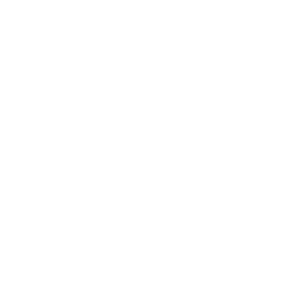 Kotisivuvisio-logo